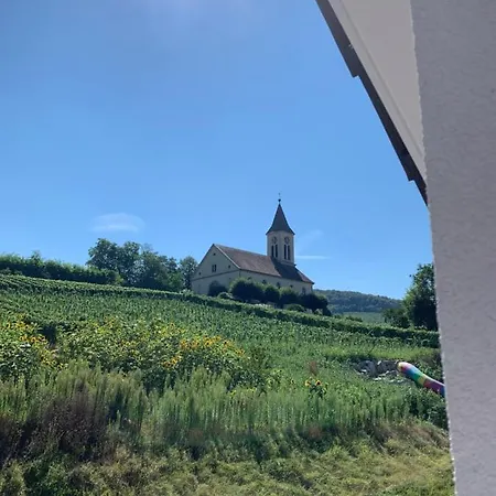 Ruedlins-winzerhof Auggen