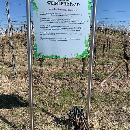 Апартаменты Ruedlins-winzerhof *