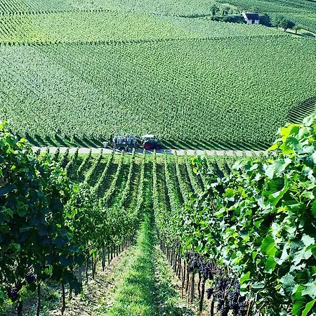 Ruedlins-winzerhof