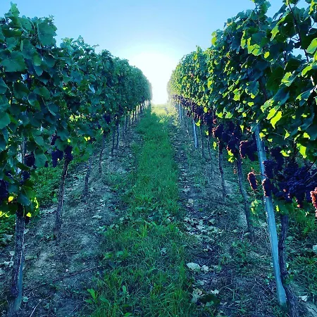 Ruedlins-winzerhof Апартаменты