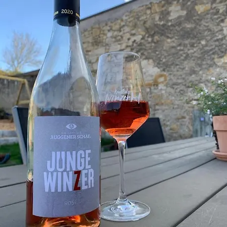 Lejlighed Ruedlins-winzerhof Auggen