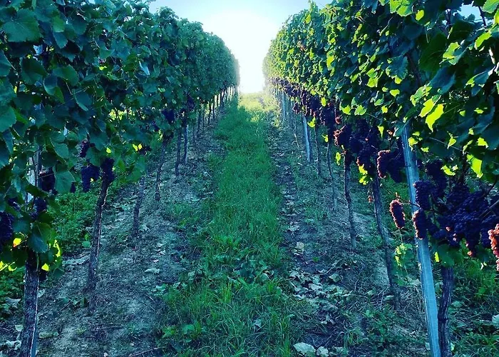 Ruedlins-winzerhof Appartamento