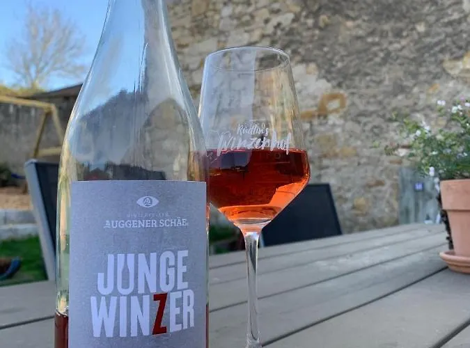 Appartamento Ruedlins-winzerhof Auggen